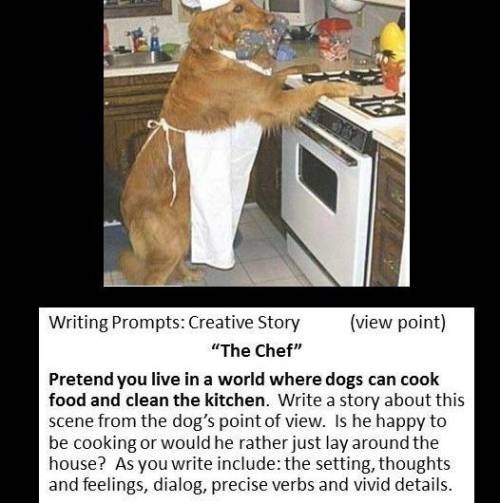 Pretend you live in a world where dogs can cook food and clean the kitchen write a story about this