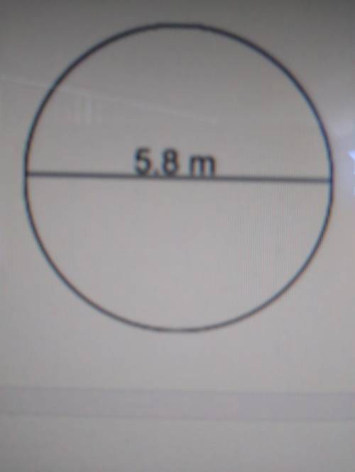 What is the circumference of the circle? 21.18 100.17 18.21 9.11
