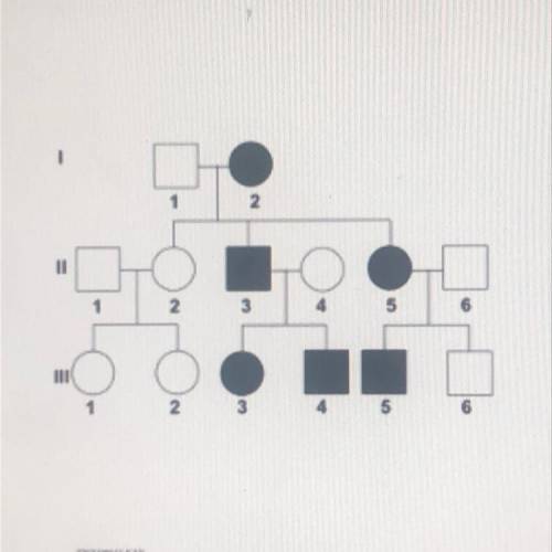 Label the pedigree with the correct genotypes