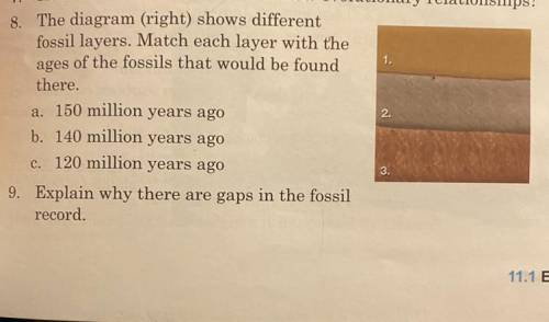 A. 150 million years ago  b. 140 million years ago  c. 120 million years ago
