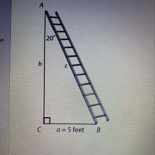 The drawing below shows a ladder against a wall. How high on the wall does the ladder reach if the l