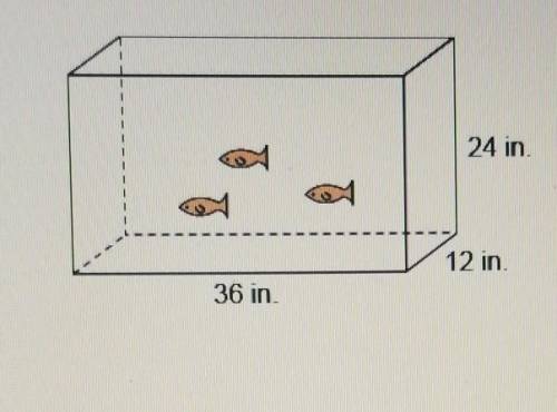 What is the volume of this aquarium?A. 288 in3B. 432 in3C. 8,364 in3D 10,368 in3