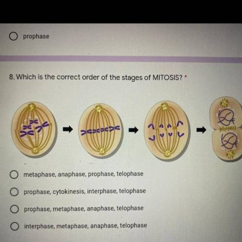 Which is the correct order of the states of MITOSIS?