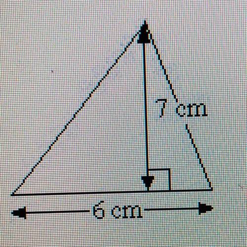 What is the area of the triangle in cm?