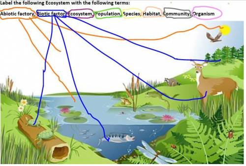 Label the following Ecosystem with the following terms: Abiotic factory, Biotic factor, Ecosystem,