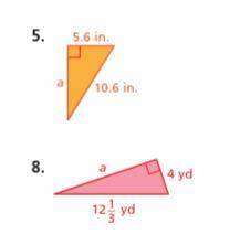 Find the missing length of the triangles.