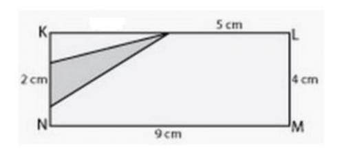 What is the area of the shaded triangle? A-4cm B-2cm C-8cm D-9cm