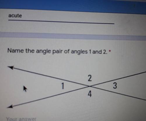 Name the angle pair of angles 1 and 2.