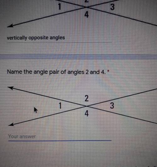 Name the angle pair of angles 2 and 4.