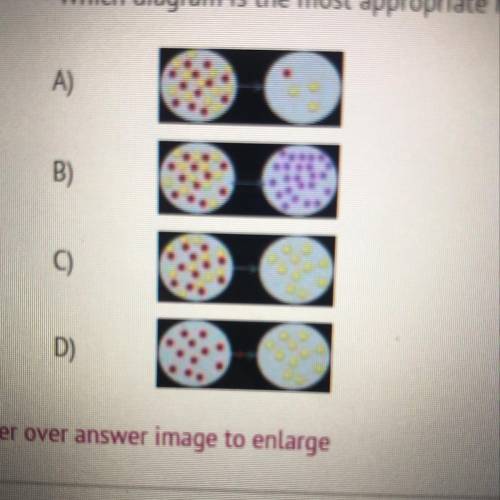 Which diagram is the most appropriate representation of gene flow? A) D) Hover over answer image to