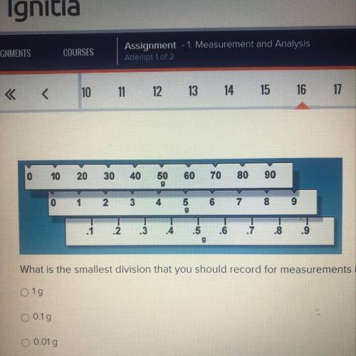 What is the smallest division that you should record for measurements using this balance? 1g 0.1g 0