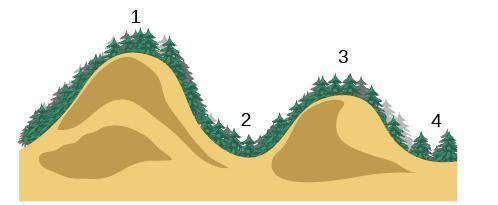 The drawing represents a mountain bike trail. A rider began at Point 1 on the trail and stopped at