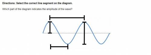 Select the correct line segment on the diagram.  Which part of the diagram indicates the amplitude