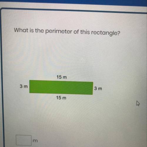 What is the perimeter of this rectangle