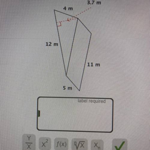 Find the surface area of the triangular prism shown below. 3.7 m 4 m 12 m 11 m 5 m