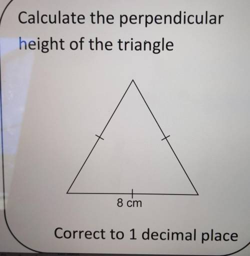 Calculate the perpendicularheight of the trianglepls helppp!!