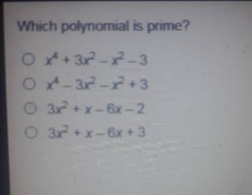 Which polynomial is prime