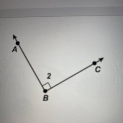 HELP ASP PLEASE AND WITH THE CORRECT ANSWER  Which classification