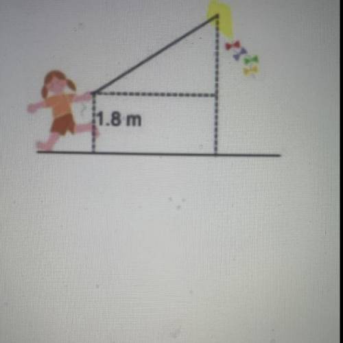 Samantha is flying a kite on a 49 meter string. The angle of elevation of the kite measure 35 degre