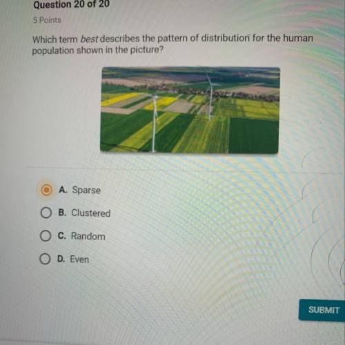 Which term best describes the pattern of distribution for the human population shown in the picture