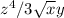 z^4/3\sqrt{x} y