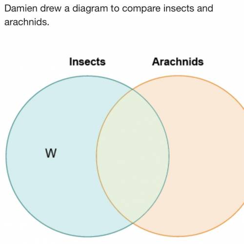 Damien drew a diagram to compare insects and arachnids. Which belongs in the area labeled W?

two