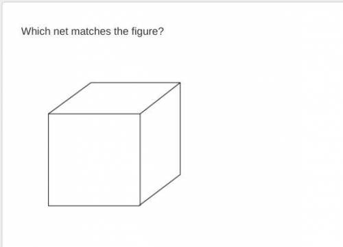 Which net matches the figure?