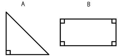 PLEASE HELP IF WRONG WILL REPORT!

What two attributes have been used to sort these shapes?
A. A s