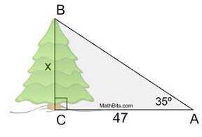 Can anyone solve this entire triangle using trig functions and showing your entire work? I will giv