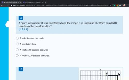 A figure in Quadrant II was transformed and the image is in Quadrant III. Which could NOT have been