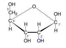 Identify this molecule