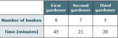PLEASE HELP WILL MARK BRAINLIEST

Three gardeners trimmed bushes in a large courtyard. The table b