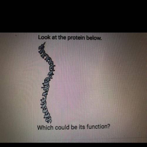 Which could be its function?

A. Directing the growth of cells
B. Insulating the body
C. Forming m