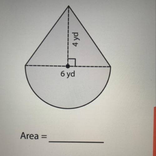 What is the area of the figure in the picture?