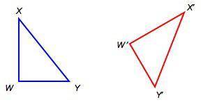 The shape on the left is transformed to the shape on the right. Triangle W X Y is rotated to triang