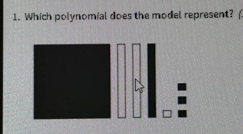 1. Which polynomial does the model represent?