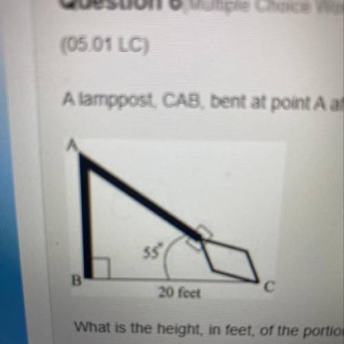 Question 6(Multiple Choice Worth 1 points)

(05.01 LC)
A lamppost, CAB, bent at point A after a st