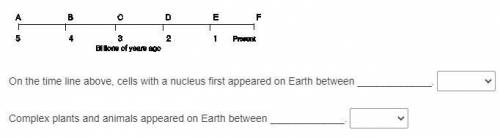 On the time line above, cells with a nucleus first appeared on Earth between

a. B and Cb. C and D