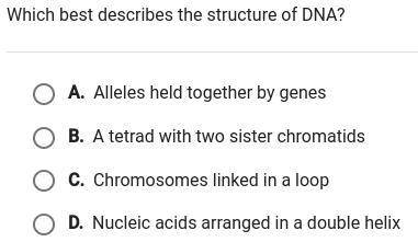 Which best describes the structure of DNA?