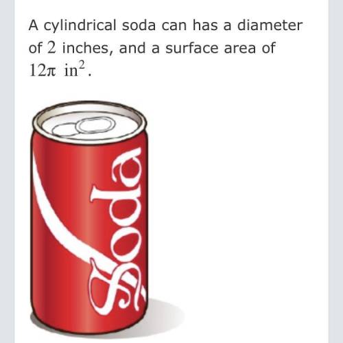 What is the height of the can?