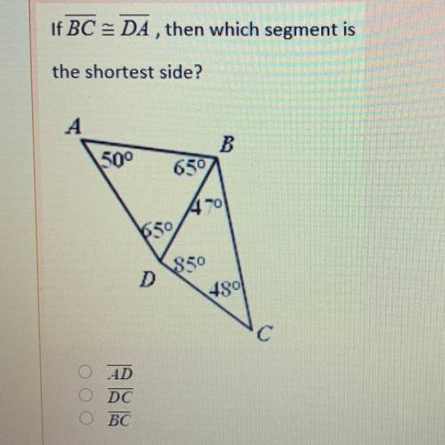 I can’t get it wrong can someone help me someone that’s smart with math