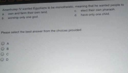 amenhotep IV wanted Egyptians to be monotheistic meaning that he wanted people to a) own and form t