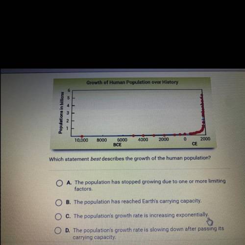 The graph shows the history of human population growth.

Growth of Human Population over History
P