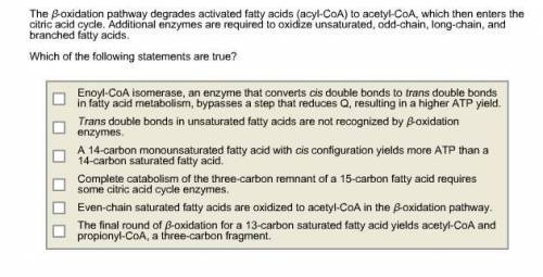 The β oxidation pathway degrades activated fatty acids (acyl‑CoA) to acetyl‑CoA, which then enters