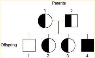 Sickle cell anemia is known to run in a family. A pedigree chart for this family is shown below. Wh