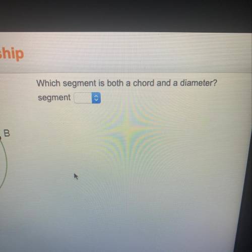 Which segment is both chord and a diameter segment