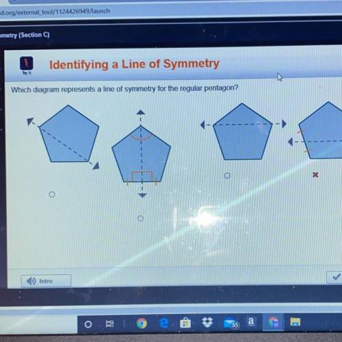 Which diagram represents a line of symmetry for the regular pentagon?