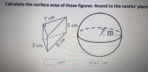 I need help finding the surface area, can someone help