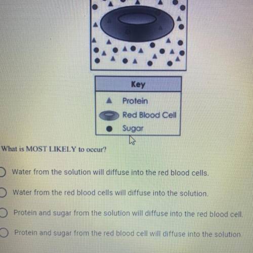 A red blood cell is placed into an aqueous solution. The red blood cell has a lower concentration o