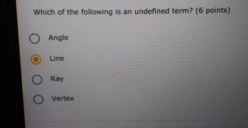 Which of the following is an undefined term?